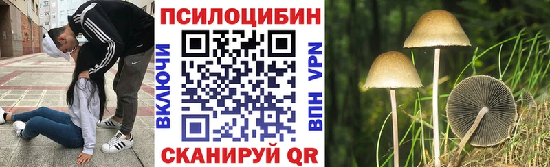 купить наркотик  Суворов  блэк спрут маркетплейс  Галлюциногенные грибы GOLDEN TEACHER 